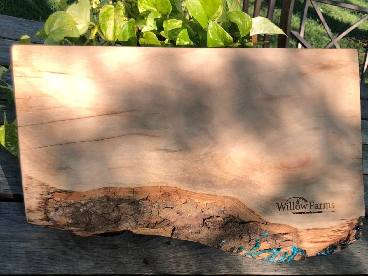 ****SOLD****Calm Caribbean Charcuterie Board