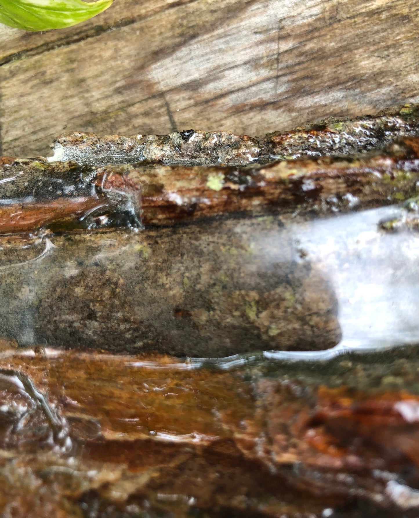 ***SOLD***Stunning Blue Hole Charcuterie Board