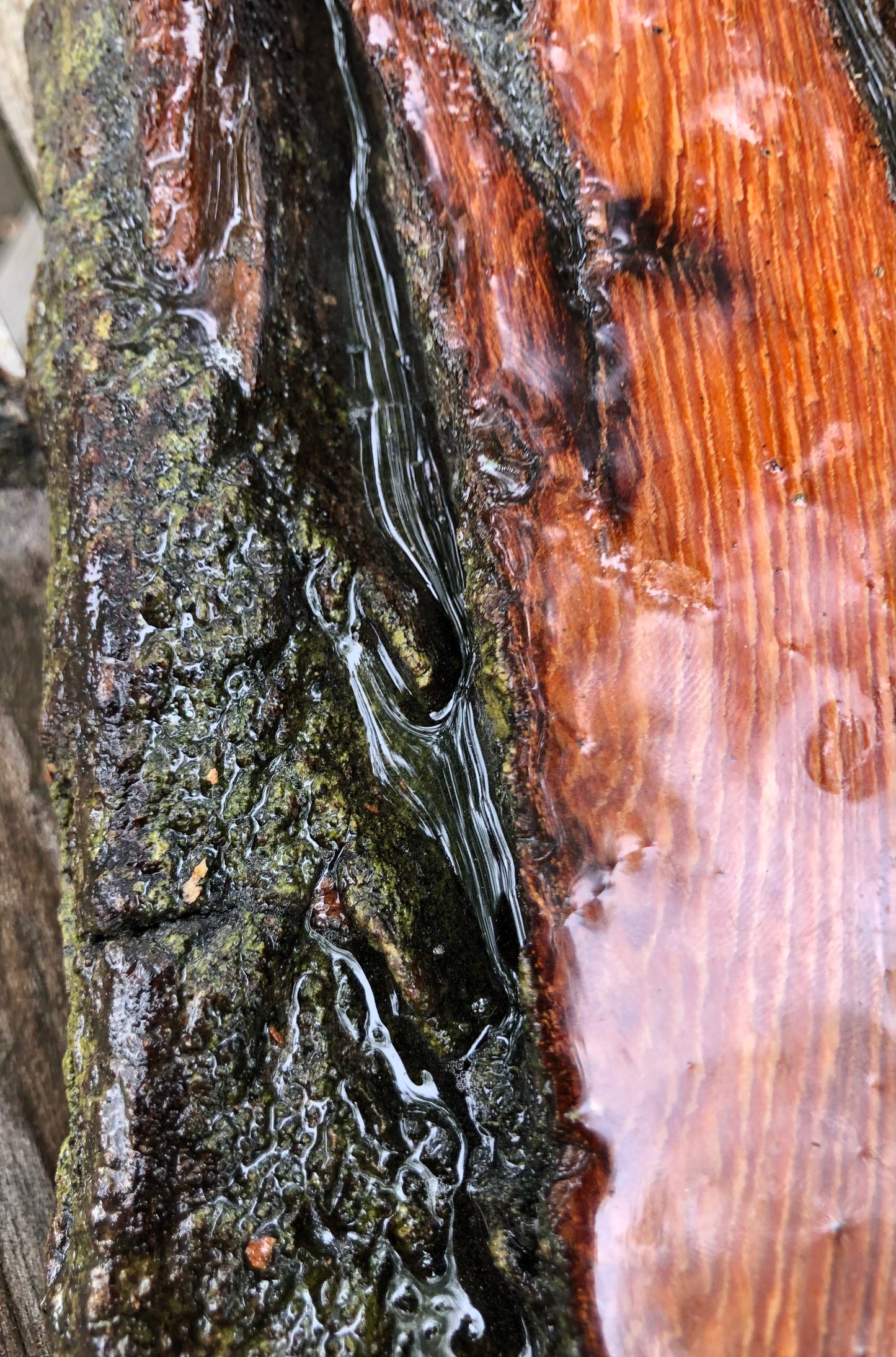 ***SOLD***Stunning Blue Hole Charcuterie Board