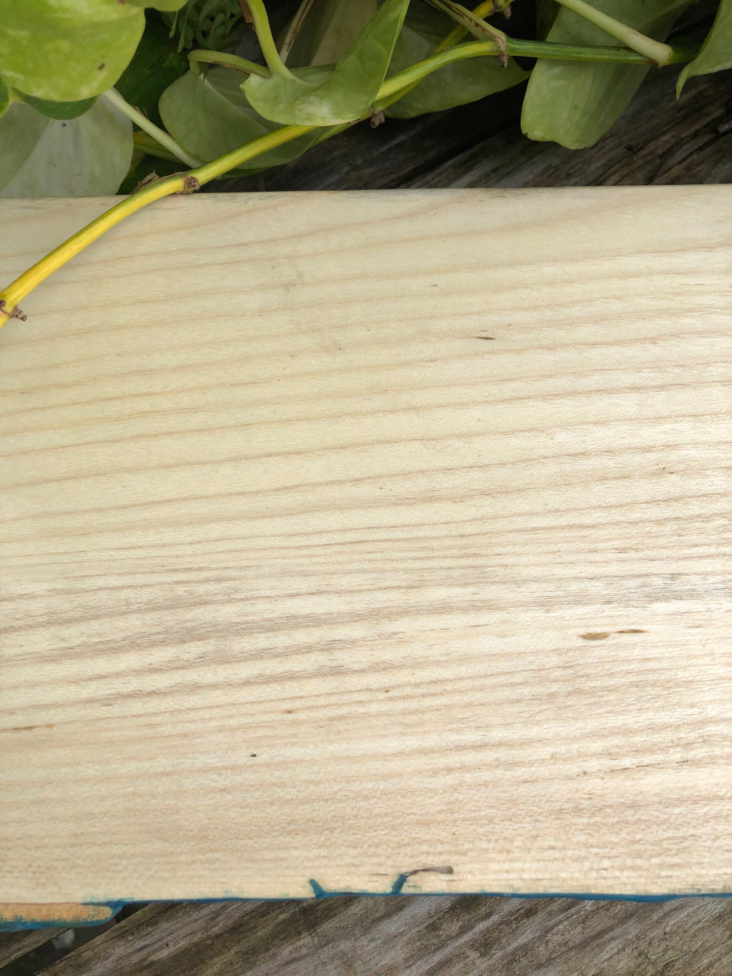 ***SOLD***Very Long Ocean Charcuterie Board